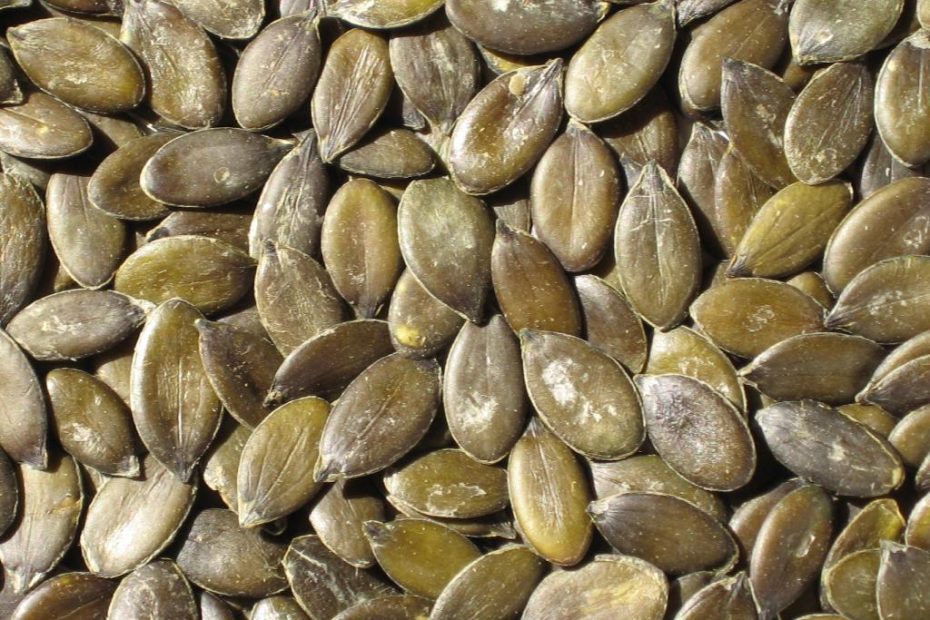 Graines de courge séchées - Cabinet Jun Li - Bien-être traditionnel chinois